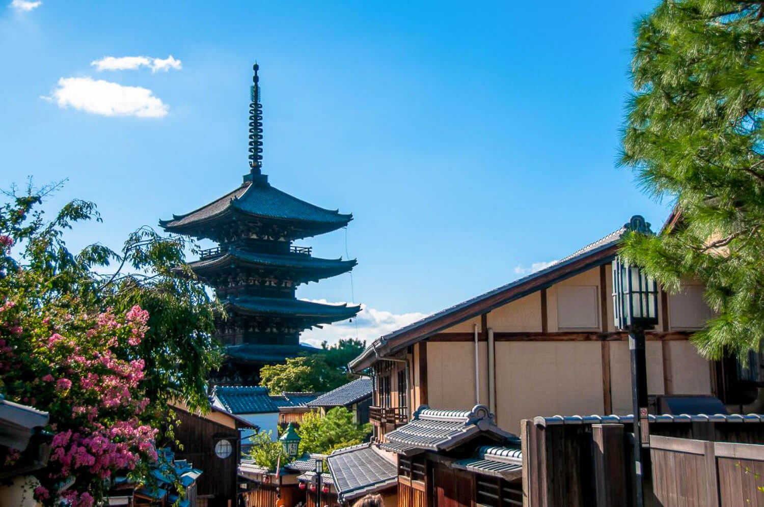 Arashiyama Bamboo Grove included in 2 Days Kyoto Itinerary
